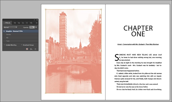 Object Transparency