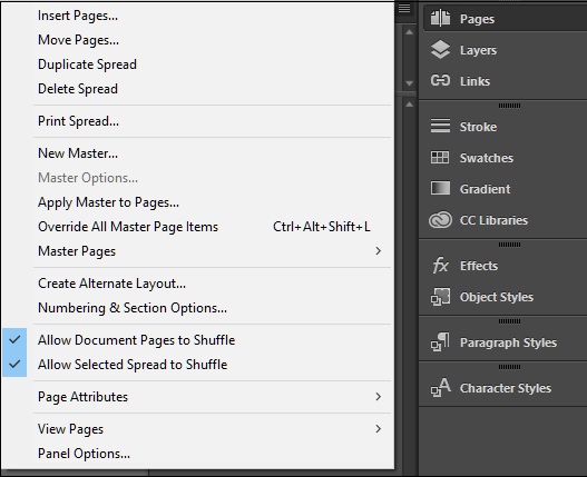 Options Panel
