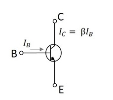 Active Region