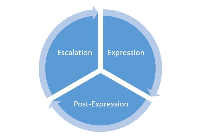 Aggression Phases