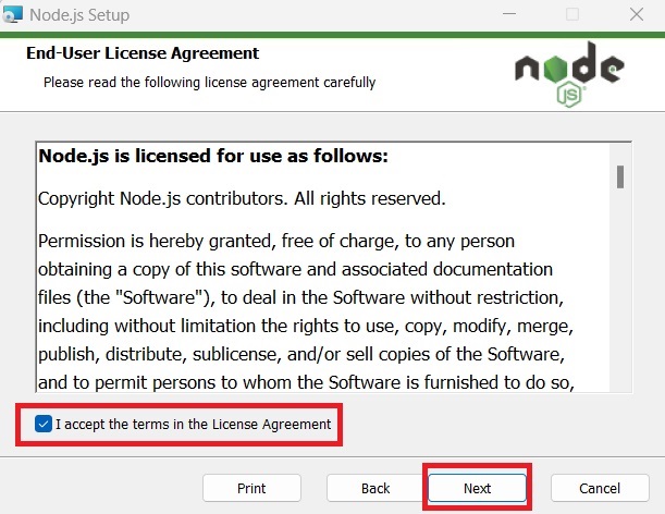 NodeJS installtion