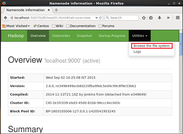 Verifying the HDFS