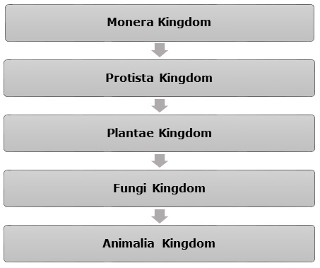 Kingdoms