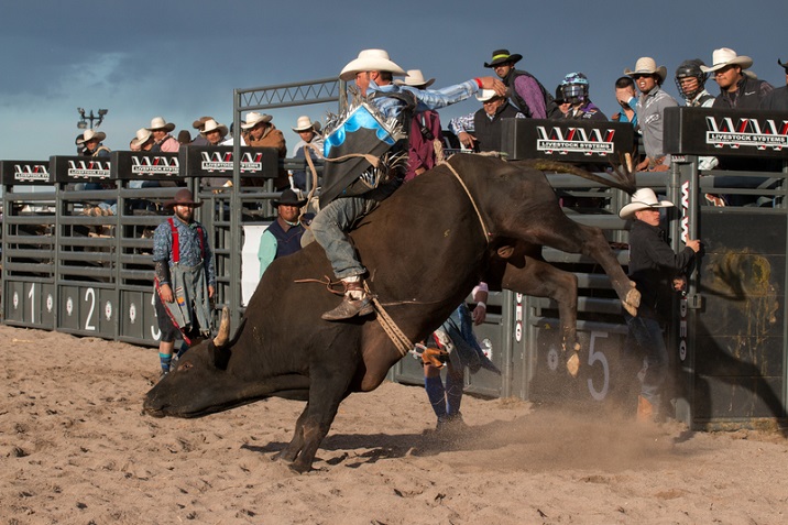 Bull Riding