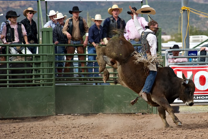 Rodeo Sports