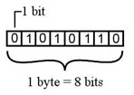 Bytes