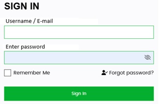 What is a Username?