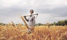 Subsidised Rate