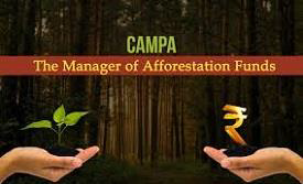 CAMPA