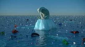 Fight Climate Change