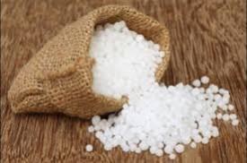 Urea Sector