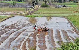 Focus on Farmers