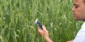 Kisan Suvidha mobile app
