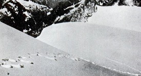 Yetis Footprints