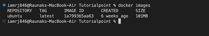 Pulling the Docker Image 2