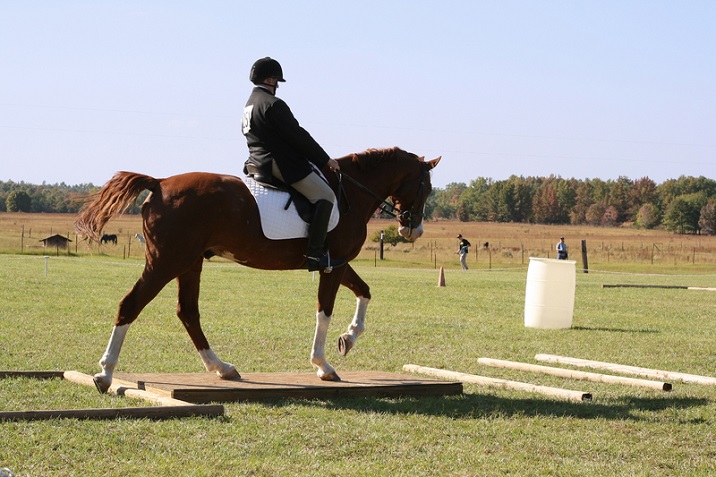 Before Mounting