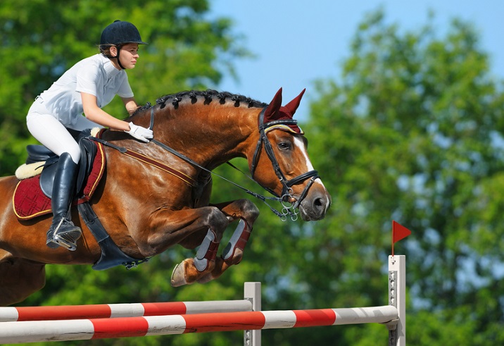 Dressage