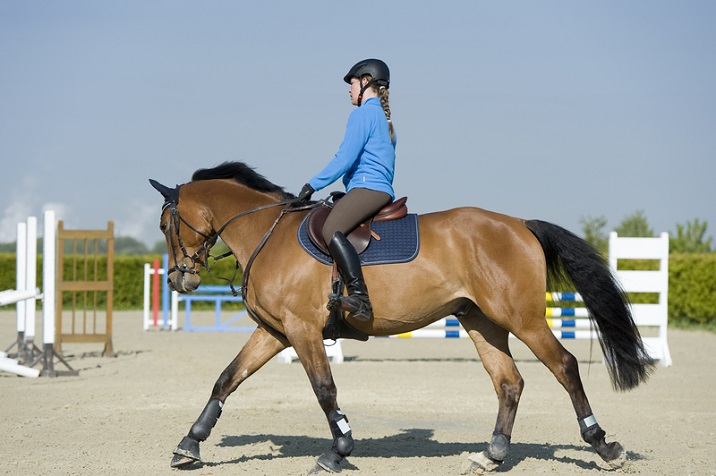 Without Stirrups