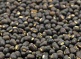 Black Grams