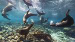 Galpagos Islands