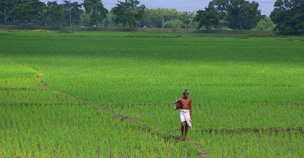 Agricultural Land