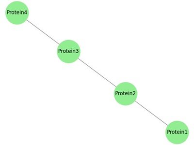 Biological Network