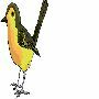 Beautiful Animals Clipart 1