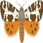 Beautiful Animals Clipart 101