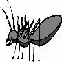 Beautiful Animals Clipart 109