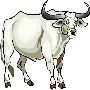 Beautiful Animals Clipart 110