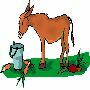 Beautiful Animals Clipart 113