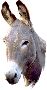 Beautiful Animals Clipart 116