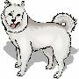 Beautiful Animals Clipart 118