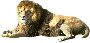 Beautiful Animals Clipart 12