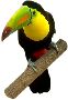 Beautiful Animals Clipart 120