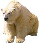 Beautiful Animals Clipart 128