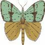 Beautiful Animals Clipart 130