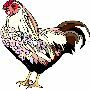 Beautiful Animals Clipart 131