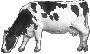 Beautiful Animals Clipart 132