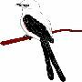 Beautiful Animals Clipart 14