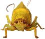 Beautiful Animals Clipart 2