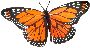 Beautiful Animals Clipart 84