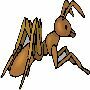 Beautiful Animals Clipart 87