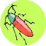 Beautiful Animals Clipart 88