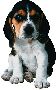 Beautiful Animals Clipart 89