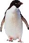 Beautiful Animals Clipart 91