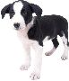 Beautiful Animals Clipart 93