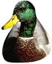 Beautiful Animals Clipart 95
