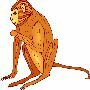 Beautiful Animals Clipart 96