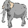 Beautiful Animals Clipart 97